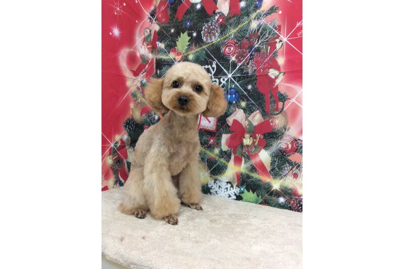 画像4661