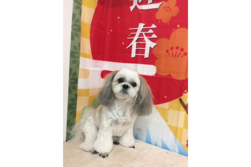 画像4695