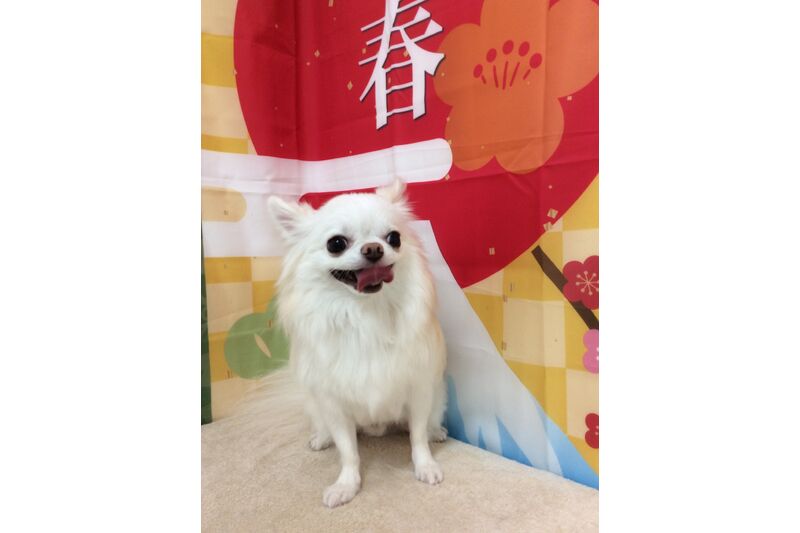 画像4697