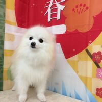 画像4699