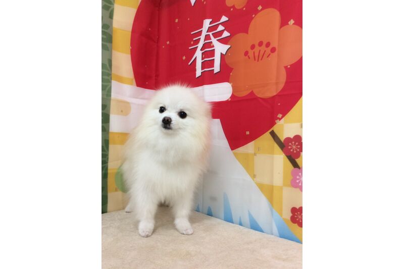 画像4699
