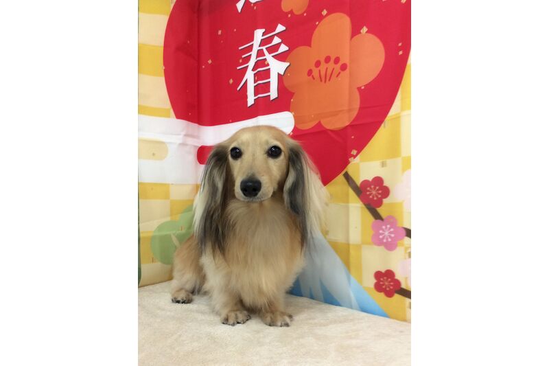 画像4701