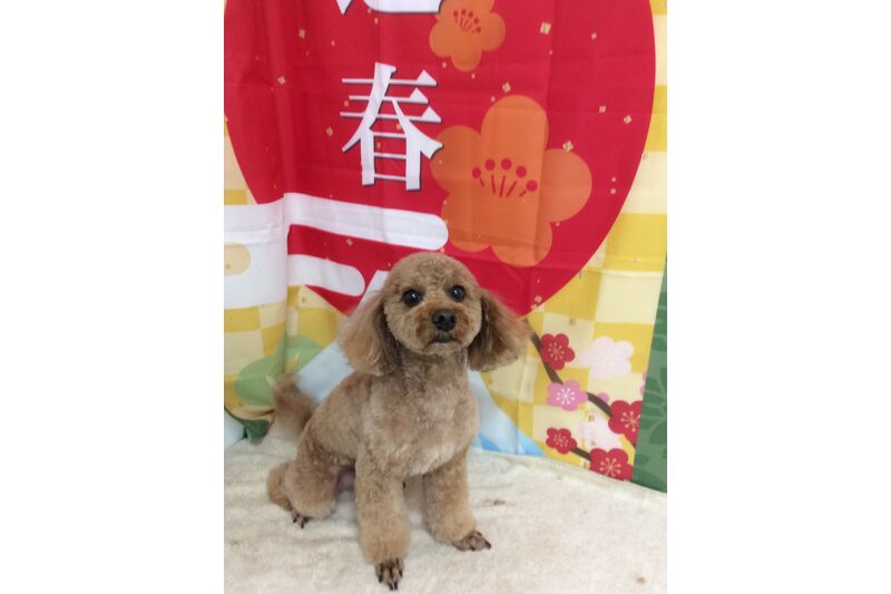 画像4709