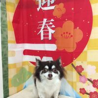 画像4715