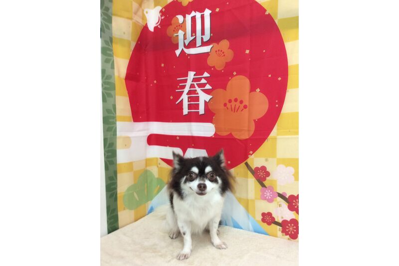 画像4715