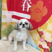 画像4719