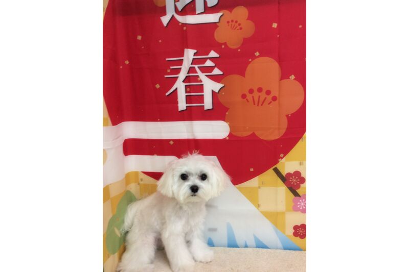 画像4721