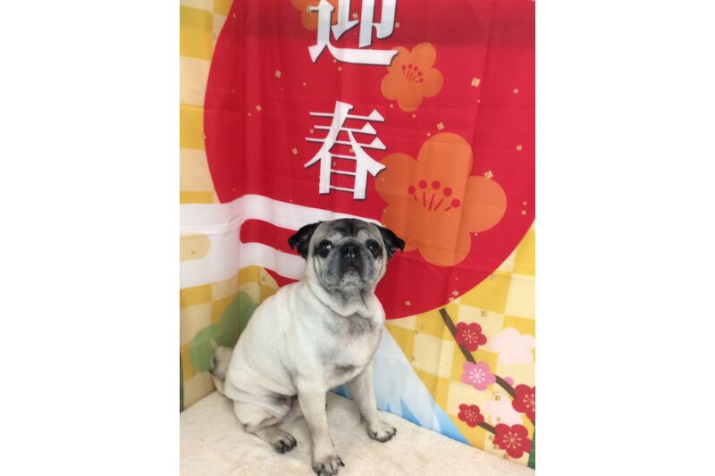 画像4723
