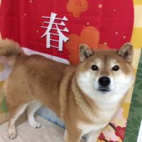 画像4725
