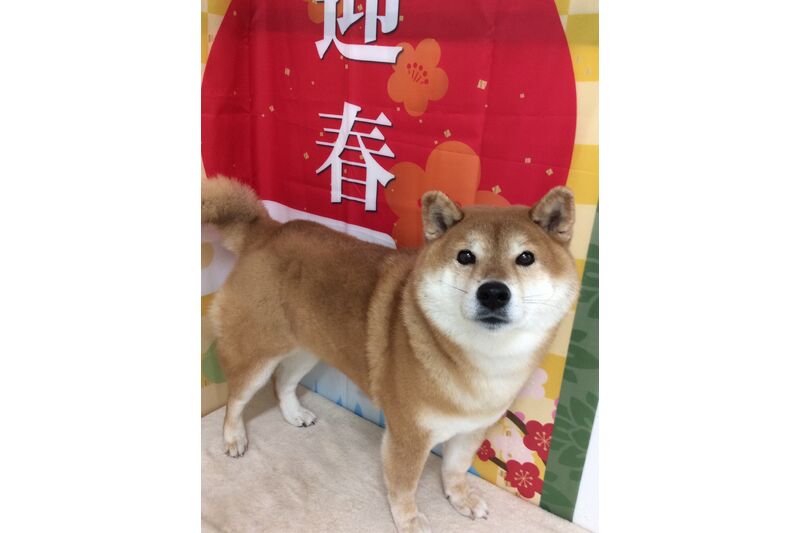 画像4725