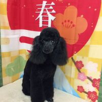 画像4727