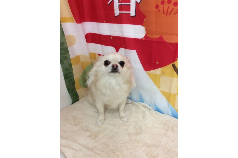 画像4733
