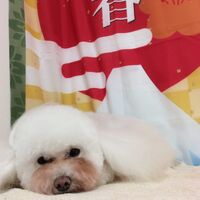 画像4735
