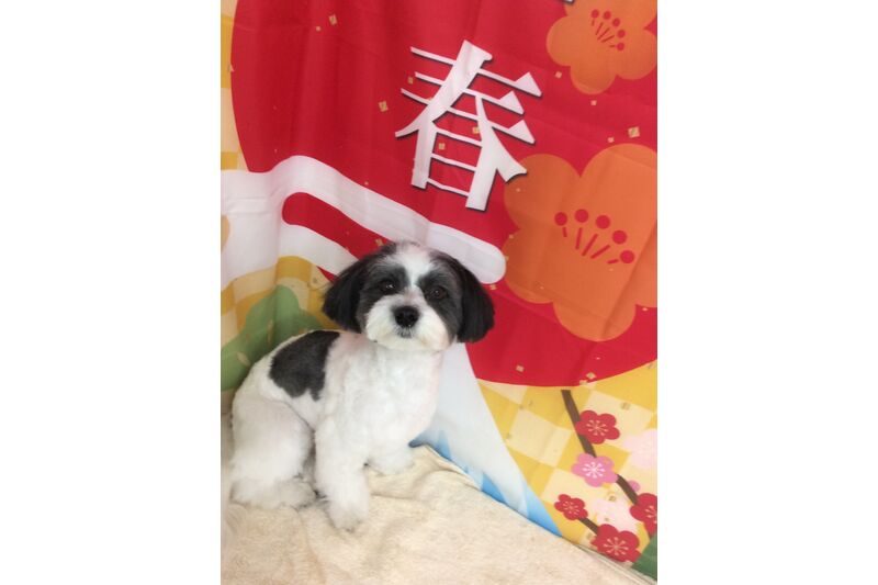 画像4737