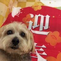画像4739