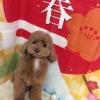画像4743