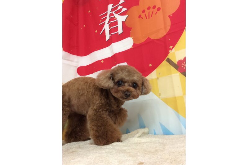 画像4745