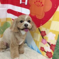 画像4747