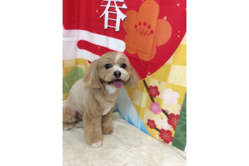 画像4747