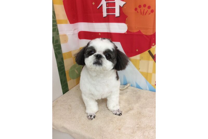 画像4749