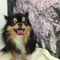 画像4807