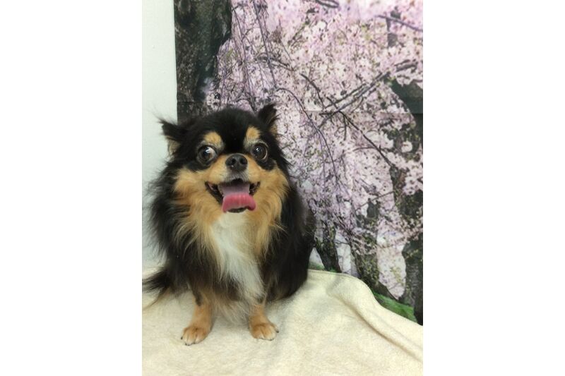 画像4807