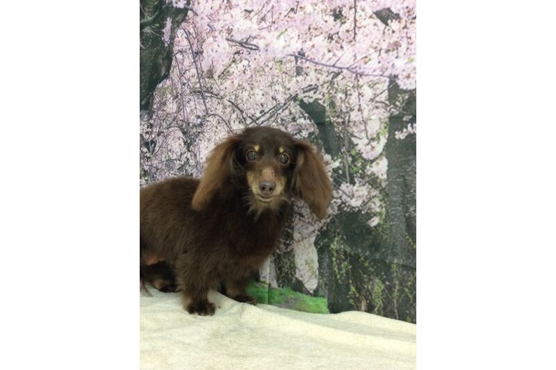 画像4811