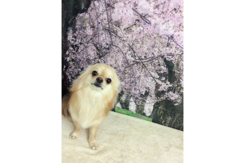 画像4821