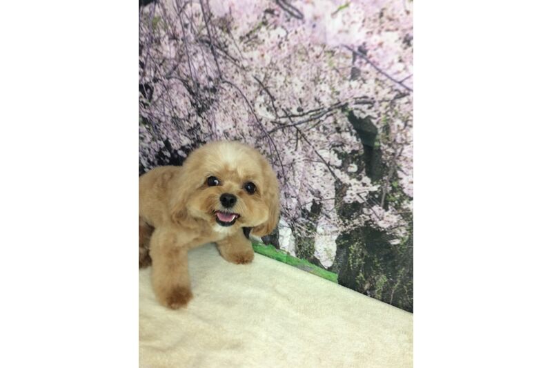 画像4950