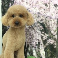 画像4956