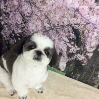 画像4960