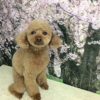 画像4964