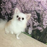 画像4972