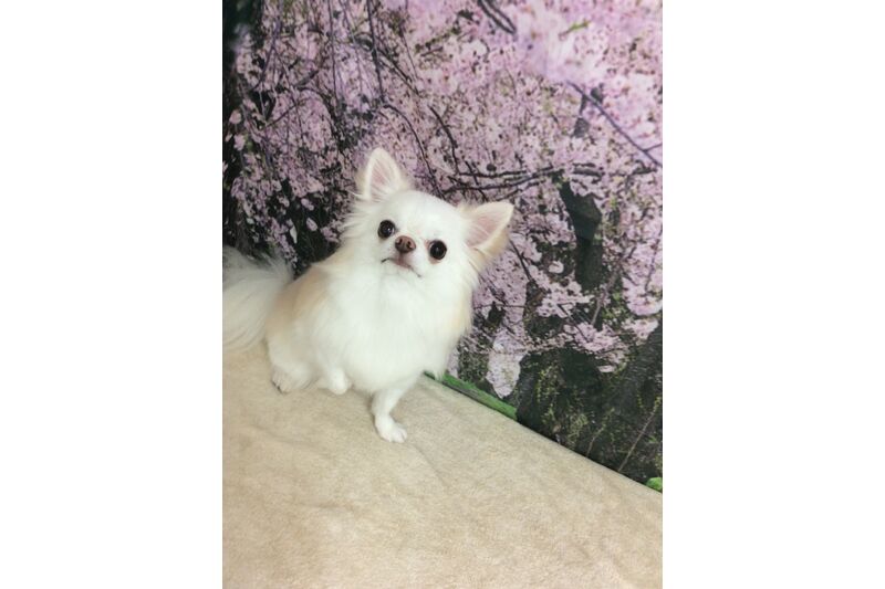 画像4972