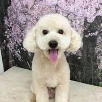 画像4978
