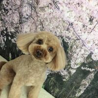 画像4980