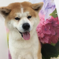 画像5498