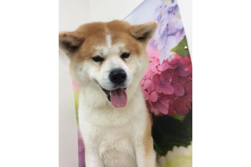 画像5498
