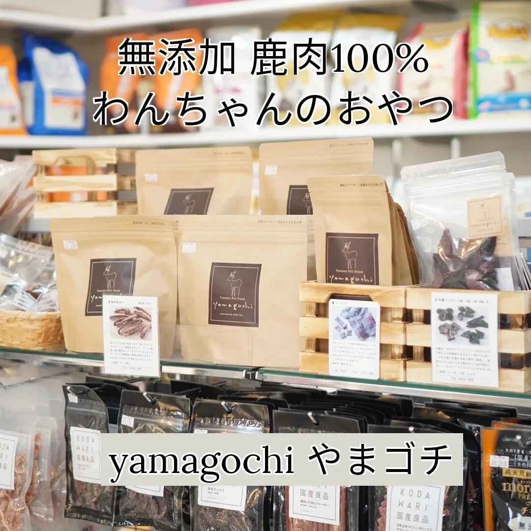 画像5522
