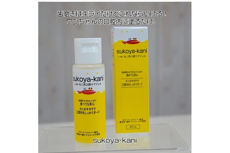 画像5564