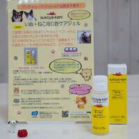 画像5565