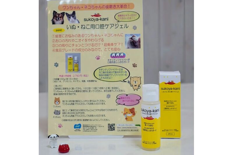 画像5565