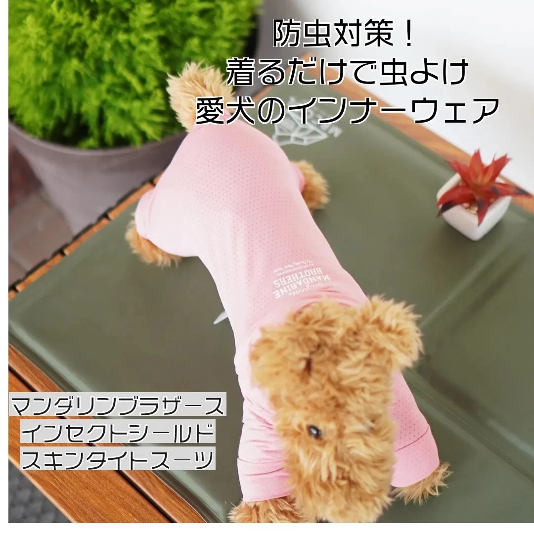 画像5581