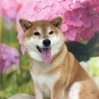 画像5623