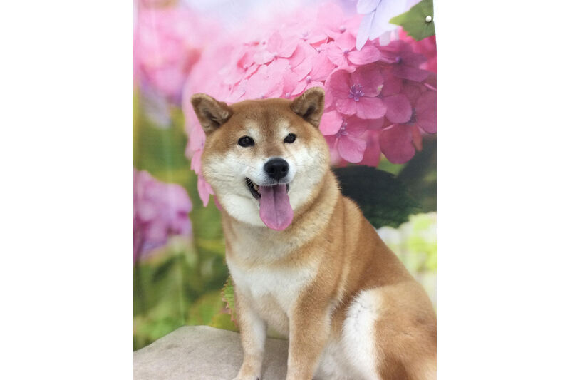 画像5623