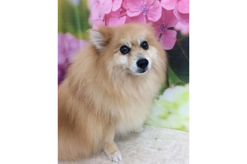 画像5645