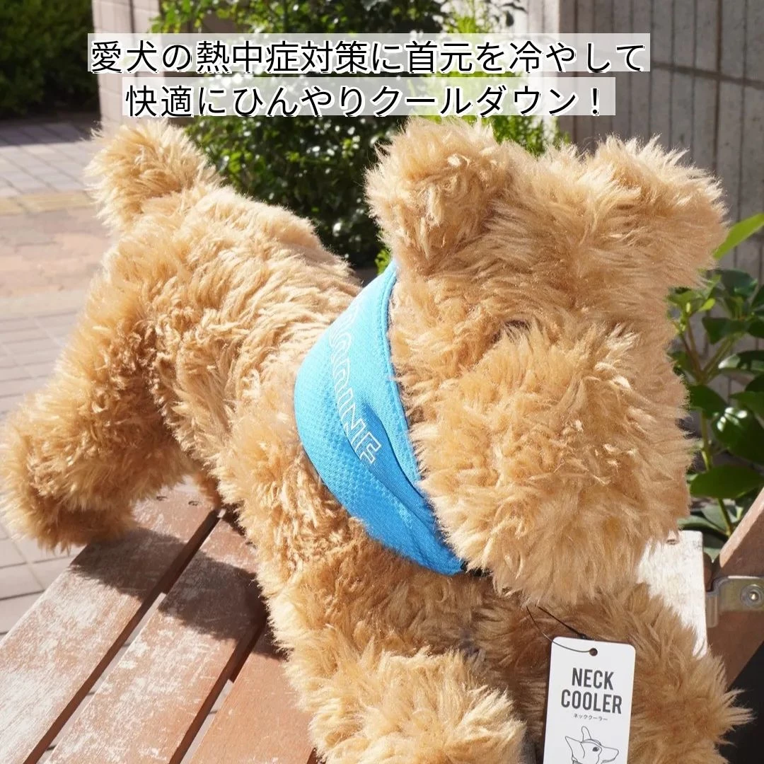 画像5771