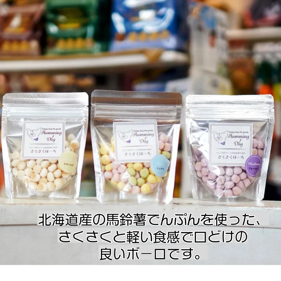 画像5863