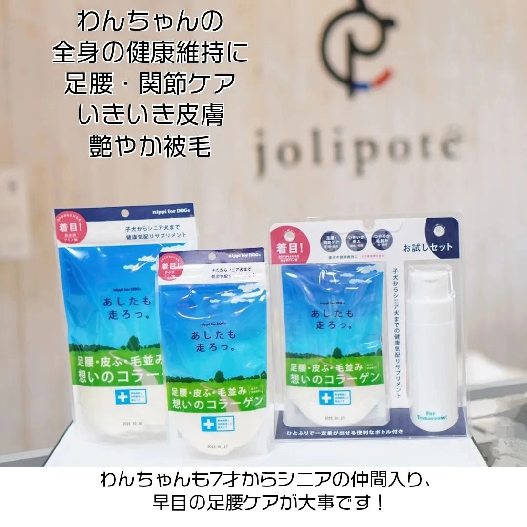 画像5921