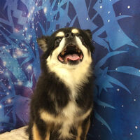 画像5959